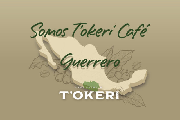 Infografia café